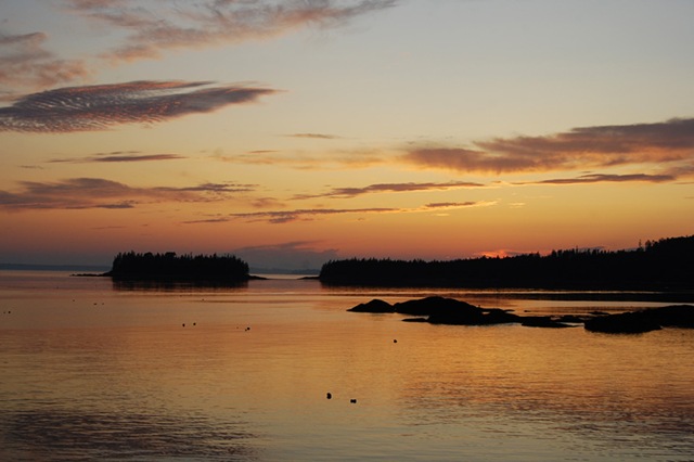 [DSC_0744 copy 2[4].jpg]